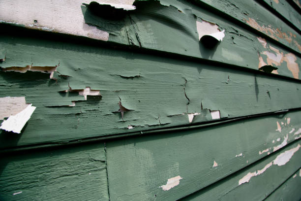 Best Custom Trim and Detailing for Siding  in Green Valley, CA