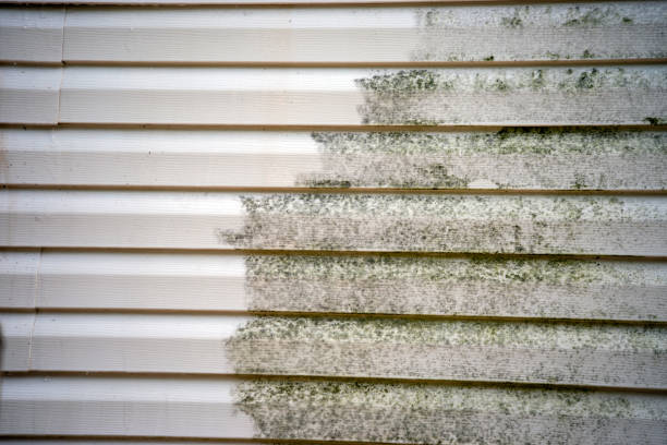 Best Stucco Siding  in Green Valley, CA
