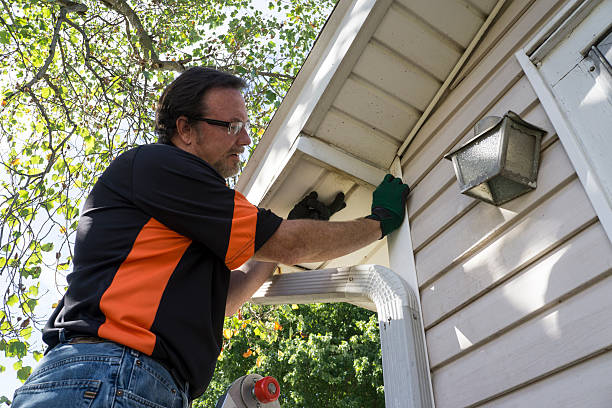 Affordable siding repair and maintenance services in Green Valley, CA